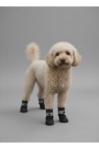 Related product image Monopetz Dog Clothes
