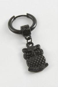 Related product image OEM Steel Earrings