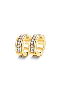 Related product image Choice Steel Earrings