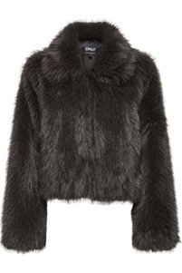 Related product image ONLY Jackets