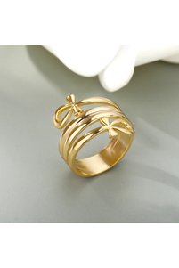 Related product image Choice Steel Rings