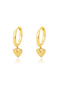 Related product image Choice Steel Earrings