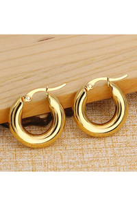 Related product image Choice Steel Earrings