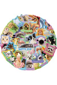 Related product image Choice Stickers