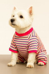 Related product image DOGİ&DOG Dog Clothes
