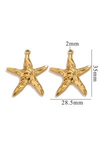 Related product image Choice Steel Earrings