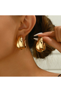 Related product image Choice Steel Earrings