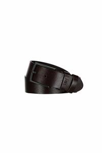 Related product image Loft Belts