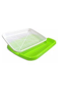Related product image Choice Terrarium & Succulents