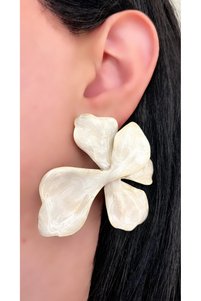 Related product image Store Jewelry Earrings
