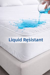 Related product image Loyal Home Mattress Protectors