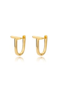 Related product image Choice Steel Earrings