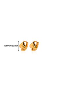 Related product image Choice Steel Earrings
