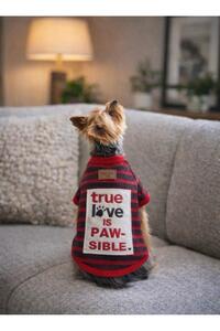 Related product image Alphadog Dog Clothes