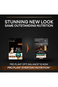 Related product image Purina One Dog Food