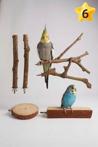Related product image Alyones Bird Perches