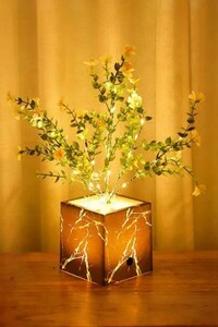 Related product image Buffer Desk Lamp