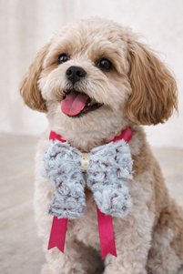 Related product image Pretty Dog Accessories