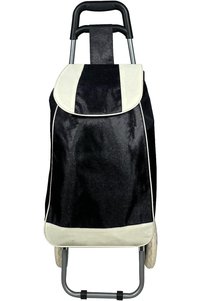 Related product image Generic Shopping Cart and Bag