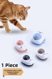 Related product image Bimotif Cat Brushes and Combs
