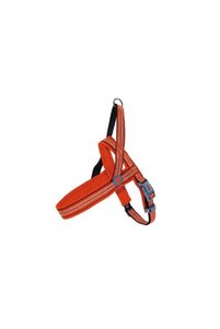 Related product image Doco Dog Accessories