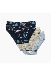 Related product image Obje Briefs
