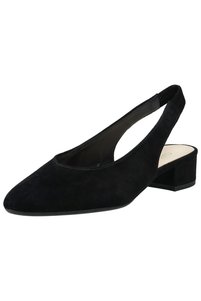 Zugehöriges Produktbild Gabor Pumps