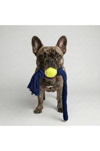 Related product image Tailpetz Dog Toys