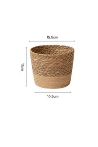 Related product image Choice Flower Pot