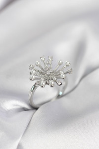 Related product image Lisinya Steel Rings
