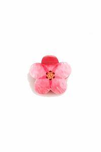 Related product image New Obsessions Hair Clips