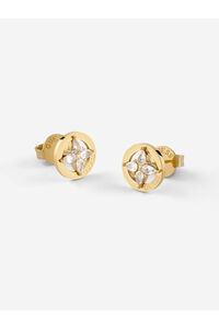 Related product image Guess Steel Earrings