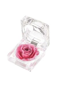 Related product image Generic Gift Box