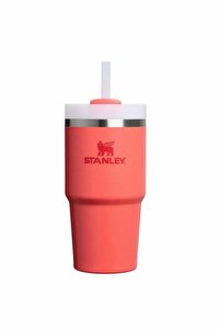 Stanley The Quencher H2.O Flowstate™ Tumbler Pipetli Termos Bardak