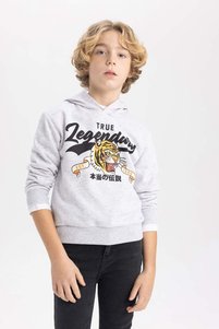 Related product image Defacto Sweatshirts