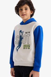 Related product image Defacto Sweatshirts