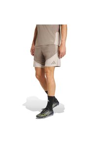 Related product image adidas Shorts
