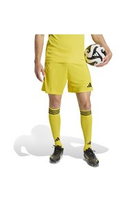 Related product image adidas Shorts