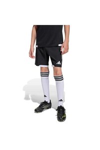 Related product image adidas Shorts