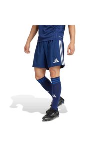 Related product image adidas Shorts