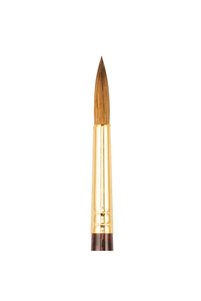 Related product image Bigpoint Brush