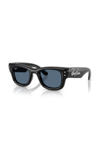 Related product image Ray-Ban Sunglasses