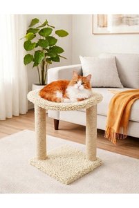 Related product image Turkuaz Tırmalama Cat Scratching Posts