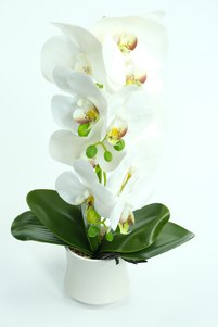 Related product image OEM Artificial Flowers
