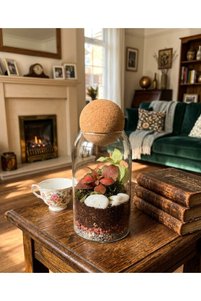 Related product image Generic Terrarium & Succulents