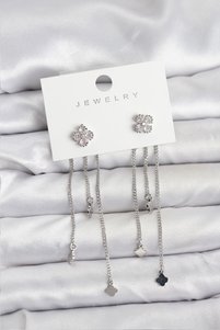 Related product image Nehir Steel Earrings