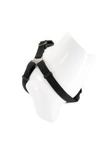 Related product image Tailpetz Cat Collars