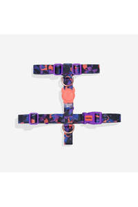 Related product image Zee.Dog Dog Collars