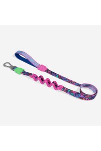 Related product image Zee.Dog Dog Collars