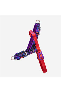 Related product image Zee.Dog Dog Collars